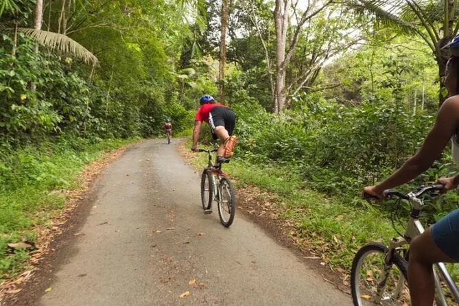 Rainforest Cycling Adventure in St. Lucia - From Forest Trails to Country Roads: Where the Effort Actually Kicks In