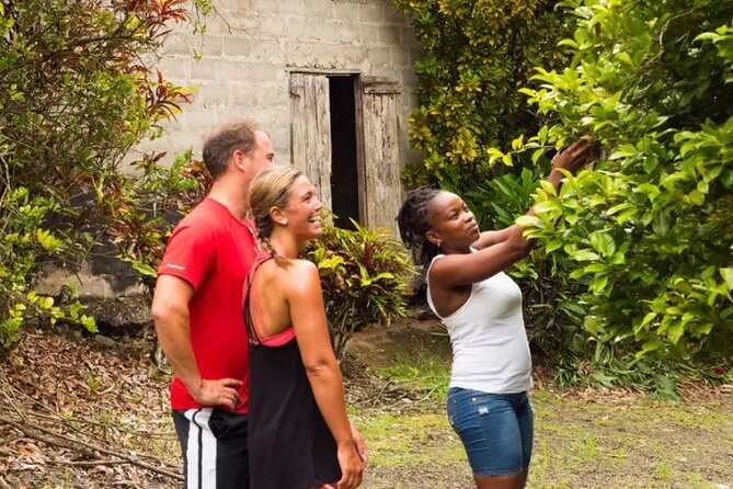 Rainforest Cycling Adventure in St. Lucia - How Hard Is This Ride, Really? Perfect For Some People, Not For Everyone