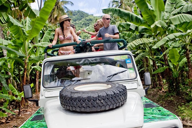 Rainforest Hike & Waterfall Safari St. Lucia From Castries - Morne Fortune: your quick big-view payoff