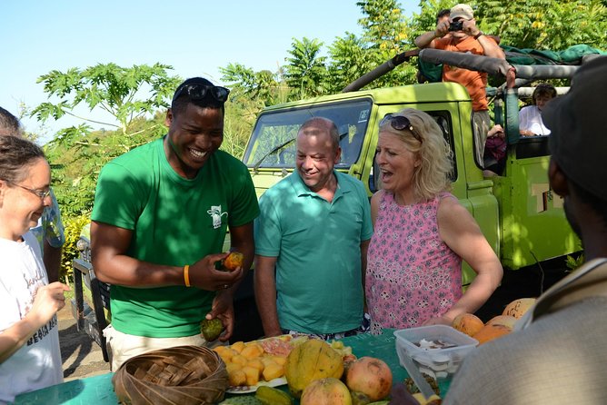 Rainforest Hike & Waterfall Safari St. Lucia From Castries - The open-air jeep ride through Castries and rural St Lucia