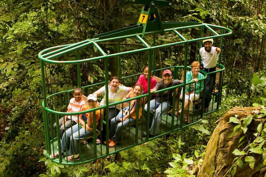 Saint Lucia: Aerial Tram Tour at Rainforest Adventures - Why Ride the Open-Air Tram Above Saint Lucia’s Rainforest Heights?