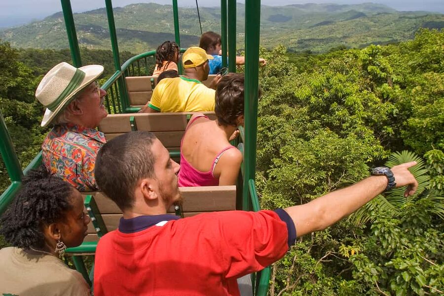 Saint Lucia: Aerial Tram Tour at Rainforest Adventures - Top Views Then a Quiet Fern Trail on the Forest Floor