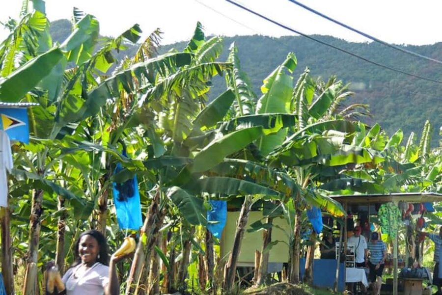 Saint Lucia Island Tour All Inclusive With Lunch - Anse La Raye and Canaries: crafts, fishing-village color, and quick browsing