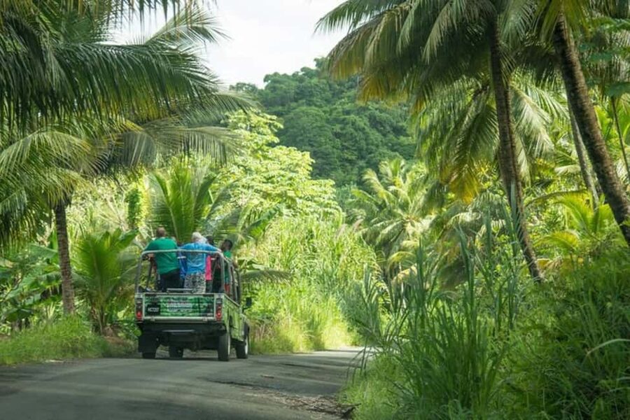 Saint Lucia: Soufriere Volcano Experience - Castries sightseeing stop: short, guided, and mainly for orientation