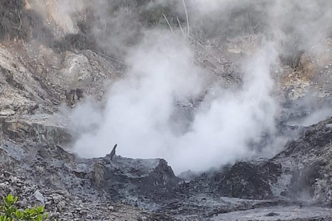 Saint Lucia Sulphur Springs Rejuvenating Mud Bath Tour - Canaries and La Plas Kassav: A Tiny Culture Glimpse Between Big Stops