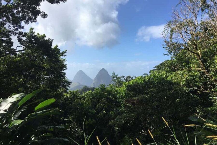 Saint Lucia: Tet Paul Nature Trail Hiking Tour & Beach - Tet Paul Nature Trail: 45 Minutes of Views Worth Wearing Good Shoes For