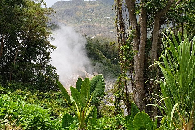 Scenic Tour of Soufriere - Soufriere and Castries Driving Stops: You See the Island, Not Just One Town