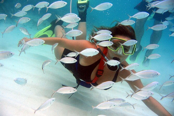 SNUBA Saint Lucia - Key Points Before You Go