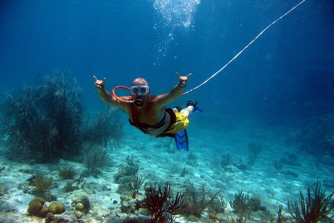 SNUBA Saint Lucia - The Underwater Experience: What Your 20 Feet Really Buys You