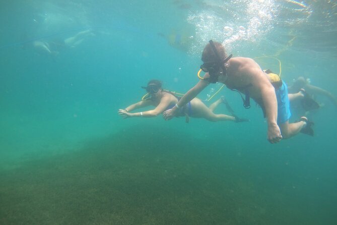 SNUBA Saint Lucia - Hose, Raft, and Comfort: The Trade-Offs You Should Know