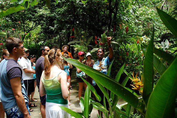 Soufriere Island Delight - Soufriere town moments and Pitons viewpoints you can actually use