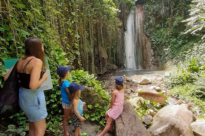 Soufriere Special Day Tour - La Soufrière Volcano stop: mud bath and sulphur springs