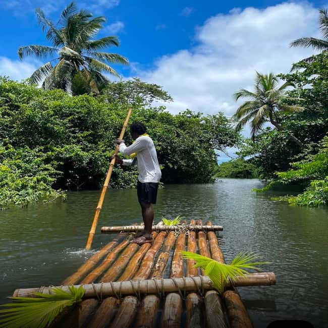 St Lucia Bamboo Rafting and Rum Distillery Experience - Mangroves, Wildlife Viewing, and What to Look For