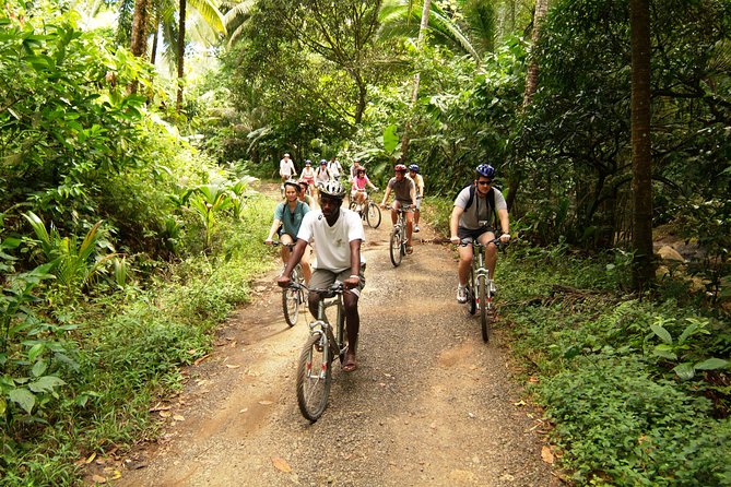 St Lucia Bike and Hike - North Island pickup and the open-air ride into St Lucia’s interior