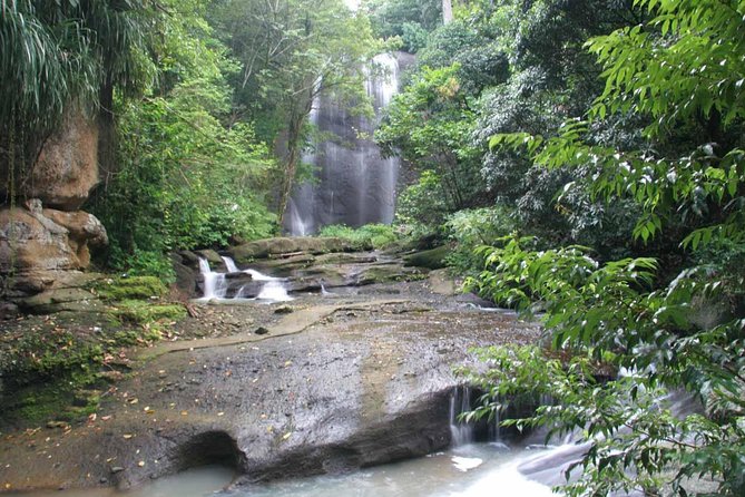 St Lucia Bike and Hike - Reaching Sault Falls: hike, swim, and pick your adventure level