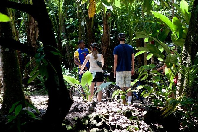 St Lucia Bike and Hike - Value check: does $69.24 make sense for what you get?