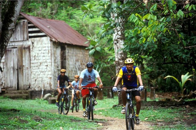 St Lucia Bike and Hike - Bike setup, safety gear, and the plant-and-spice spotting game