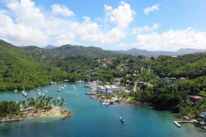St. Lucia Botanical Gardens and Waterfall Tour Groups only - Why This Half-Day West Coast Route Works in Real Life