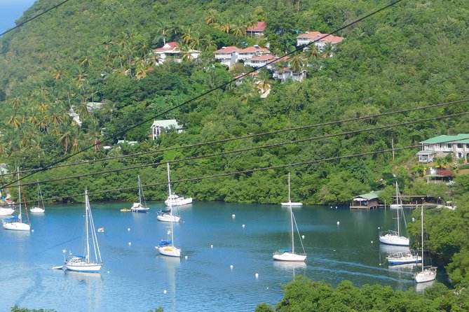 St Lucia Castries to Pitons Tour - Diamond Falls Botanical Gardens: where the breaks feel worth it