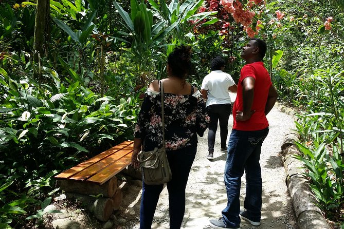 St Lucia Diamond Mineral and Mud Baths Plus Waterfall Adventure - Pickup, Mobile Ticket, and Small Group Size: The Low-Stress Package Feel