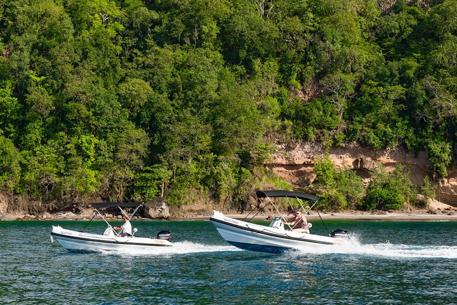 St. Lucia Drive and Snorkel Experience - Snorkeling Stop: What to Look For Under the Water
