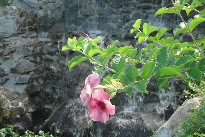 St Lucia Northern Island Tour - Key highlights at a glance