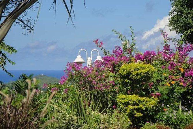St Lucia Northern Island Tour - What a Private Guide Actually Changes on Day Trips