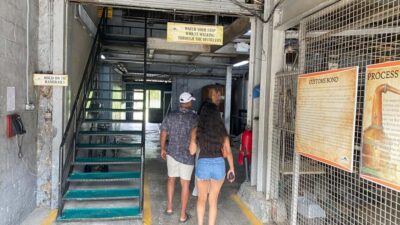 Rum Distillery and Chocolate Making Experience