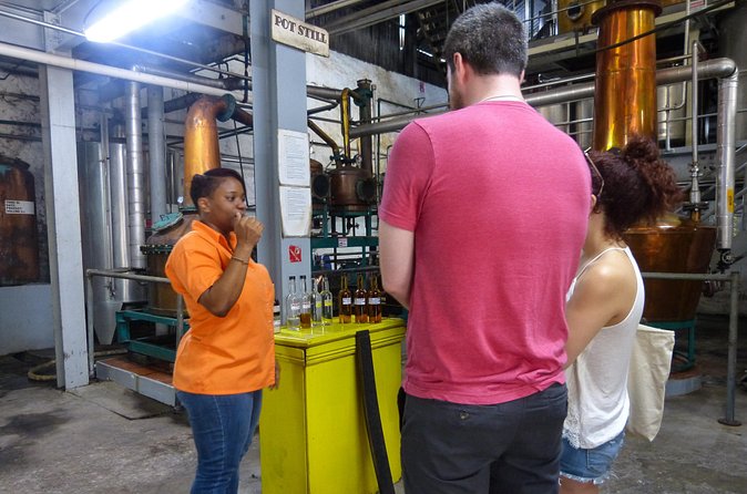 St Lucia Rum Tasting and Tour - The rum buffet: how the tasting actually feels and what you’ll sample