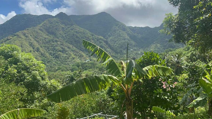 St. Lucia: Safi Estate, Volcano Waterfalls Experience - Safi Estate to black sulphur waterfalls: a short tour with a lot of payoff