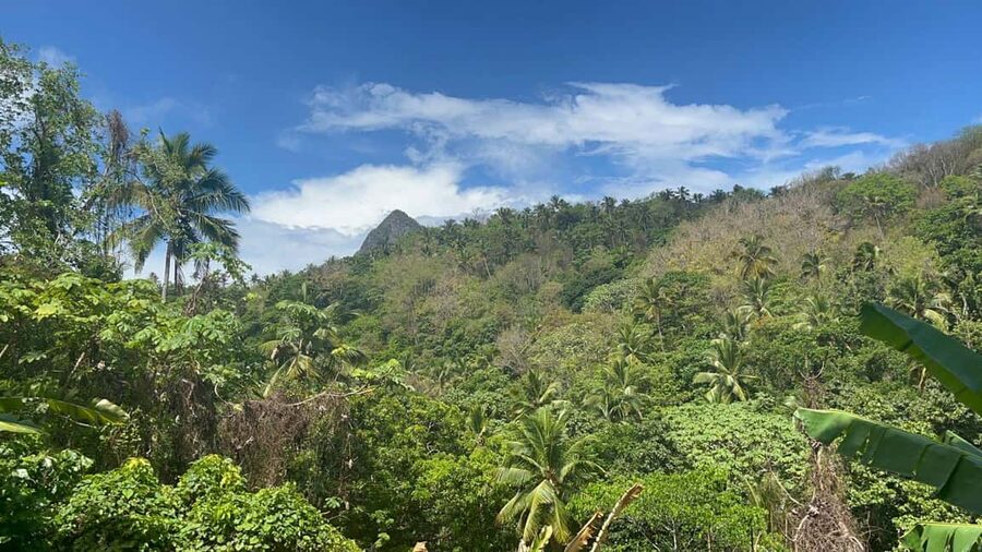 St. Lucia: Safi Estate, Volcano Waterfalls Experience - Fruit picking, coconut water, and coffee that tastes like the island
