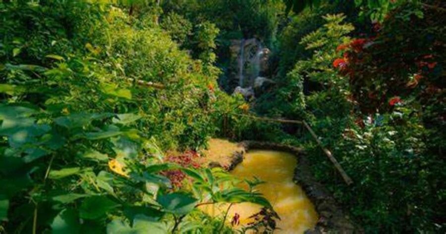St. Lucia: Safi Estate, Volcano Waterfalls Experience - Following Kenneth’s trail, not just his script