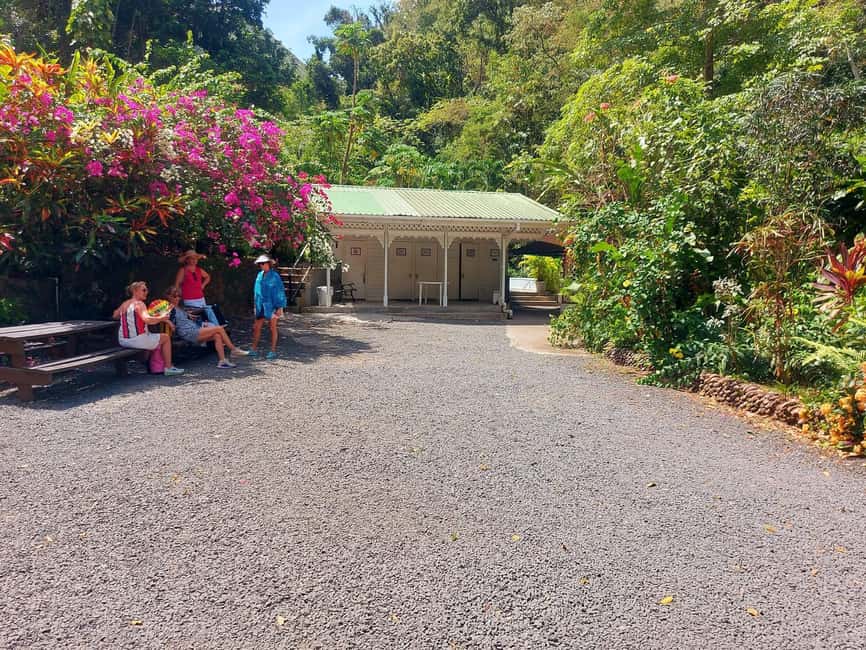 St. Lucia: Scenic Nature Hike & Botanical Garden Escape - Key highlights you will care about