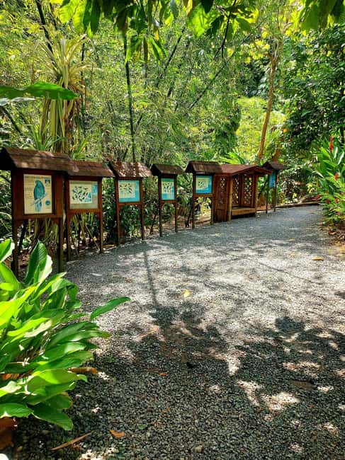 St. Lucia: Scenic Nature Hike & Botanical Garden Escape - Why Soufriere, the Pitons, and a plant-focused hike work so well together