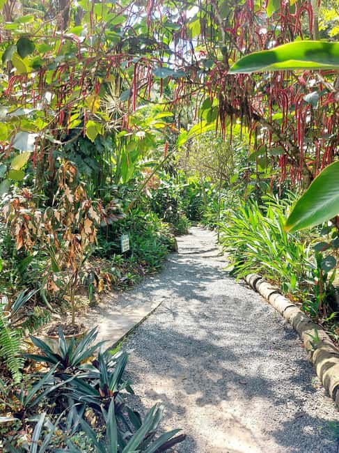 St. Lucia: Scenic Nature Hike & Botanical Garden Escape - Roseau, local snacks, and crafts for a taste of everyday St. Lucia