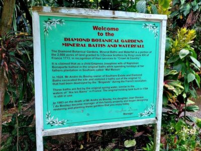 Scenic Nature Hike & Botanical Garden Escape