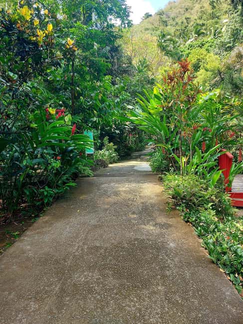 St. Lucia: Scenic Nature Hike & Botanical Garden Escape - Anse La Raye and Canaries, quick stops that set the mood