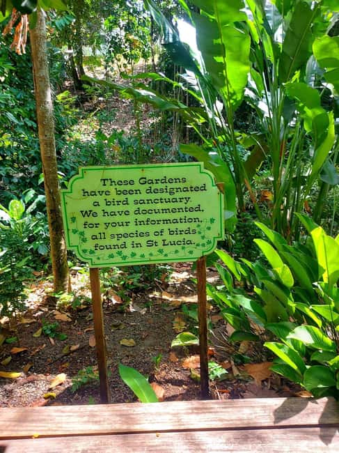 St. Lucia: Scenic Nature Hike & Botanical Garden Escape - Soufriere time, former colonial hints, and the best photo rhythm