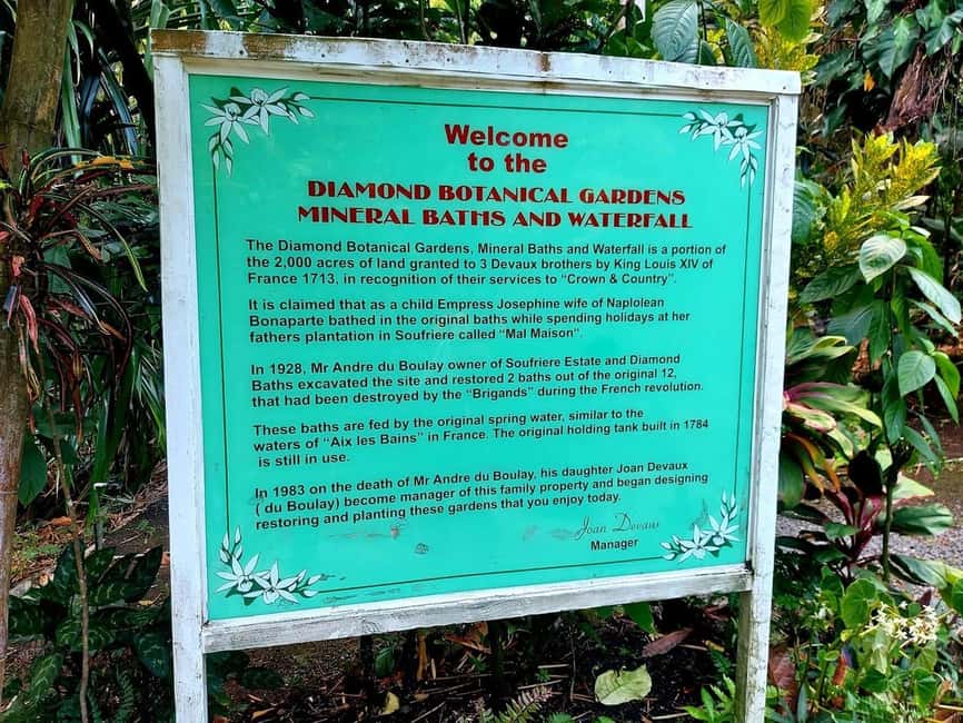 St. Lucia: Scenic Nature Hike & Botanical Garden Escape - Getting rolling from Castries or Gros Islet, and how the photo stops shape the day