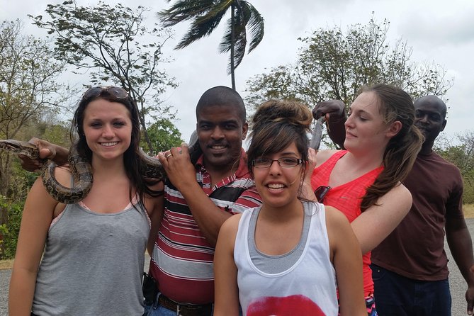 St Lucia Shore Excursion: Land & Sea Tour - Morning Castries stops: market views, city landmarks, and a high lookout
