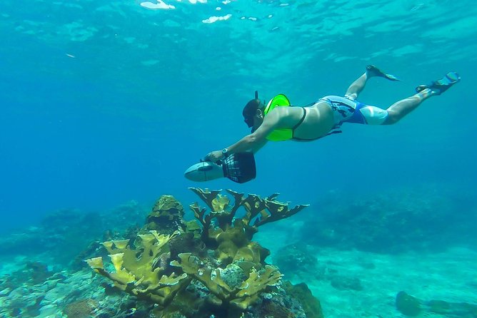 St. Lucia Speedboat and Power Snorkel From Castries - Key Highlights to Know Before You Go