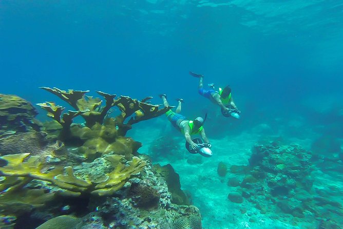 St. Lucia Speedboat and Power Snorkel From Castries - Pitons Stop: Power Snorkeling Over a Protected Reef