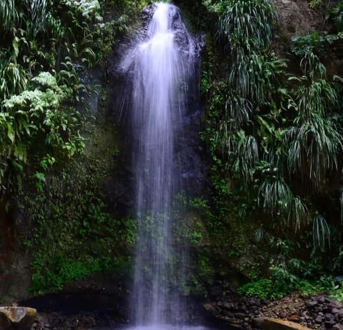 St. Lucia: Sulphur Springs Mud Bath and Toraille Waterfall - Creole buffet lunch, refreshments, and what you should expect