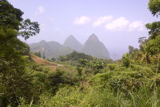 St. Lucia Tet Paul Nature Trail Tour - Key things to know before you go