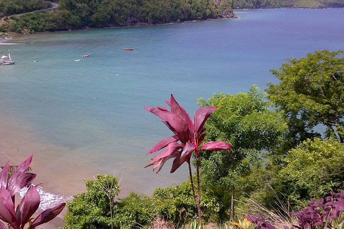 St. Lucia Tet Paul Nature Trail Tour - Jalousie Bay, clear-day views, and spotting Martinique