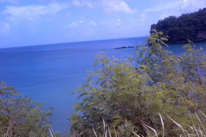 St. Lucia Tet Paul Nature Trail Tour - Guide quality makes or breaks the climb