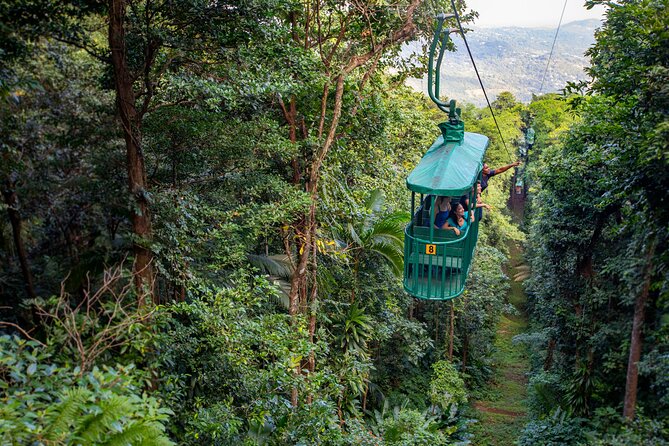 St Lucia Ultimate 3: Aerial Tram, Zipline and Hiking at Rainforest Adventures - Key Things I’d Write on Your To-Do List