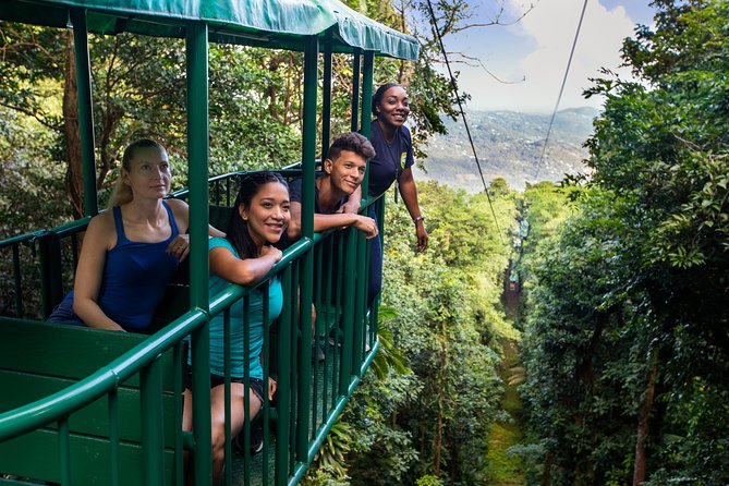 St Lucia Ultimate 3: Aerial Tram, Zipline and Hiking at Rainforest Adventures - The Canopy Zipline Course: 8 Lines, 16 Platforms, Real Safety Habits