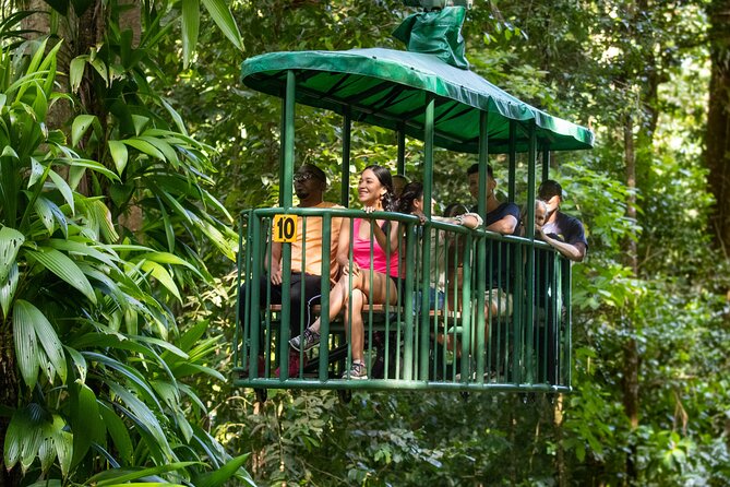 St Lucia Ultimate 3: Aerial Tram, Zipline and Hiking at Rainforest Adventures - From Top Station Back Down: Tram Return, Restrooms, Gifts, and Snacks