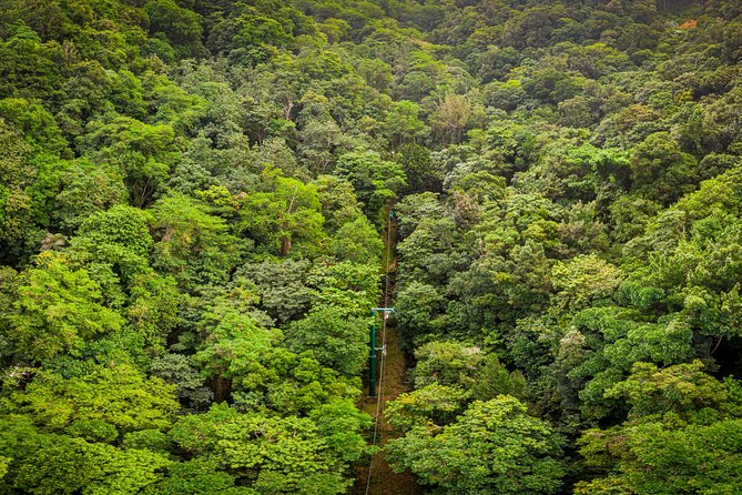 St Lucia Ultimate 3: Aerial Tram, Zipline and Hiking at Rainforest Adventures - Who This Tour Suits Best, and Who Should Skip It